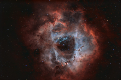 Die Rosette_1