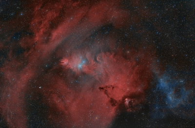 NGC2264 Christmas Tree Cluster_1
